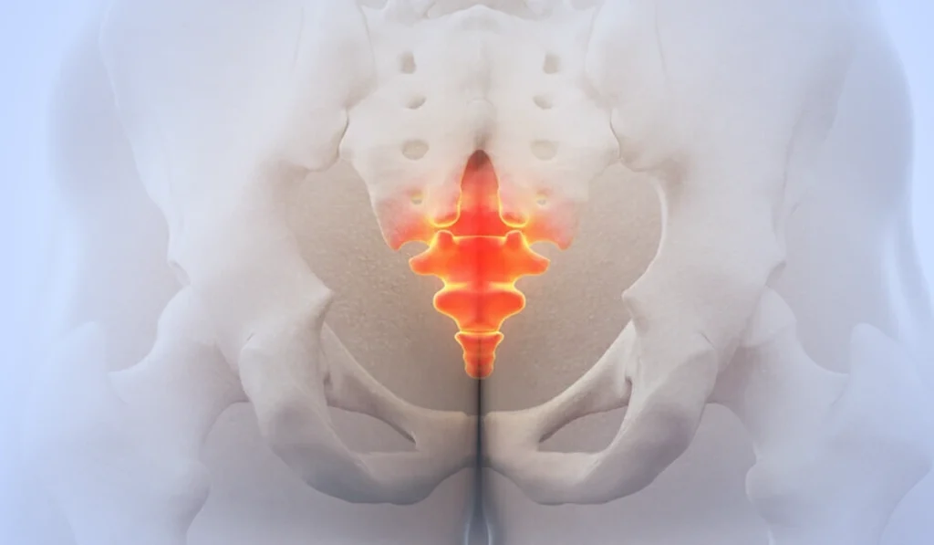 How to Choose Cushion for Tailbone Pain in 2025 | From Painful to Painless